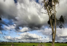 2025乐鱼体育在线网站赵继奥贝克帕获得本赛季首个三双刷新个人记录