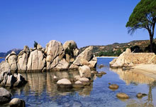 2025乐鱼体育官网欧洲联赛精英挑战 全明星队员盼破巨军